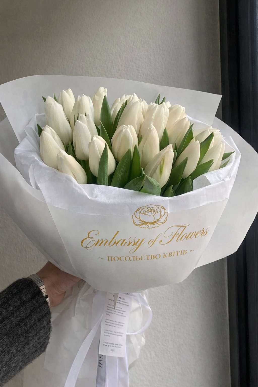 Тюльпан Білий